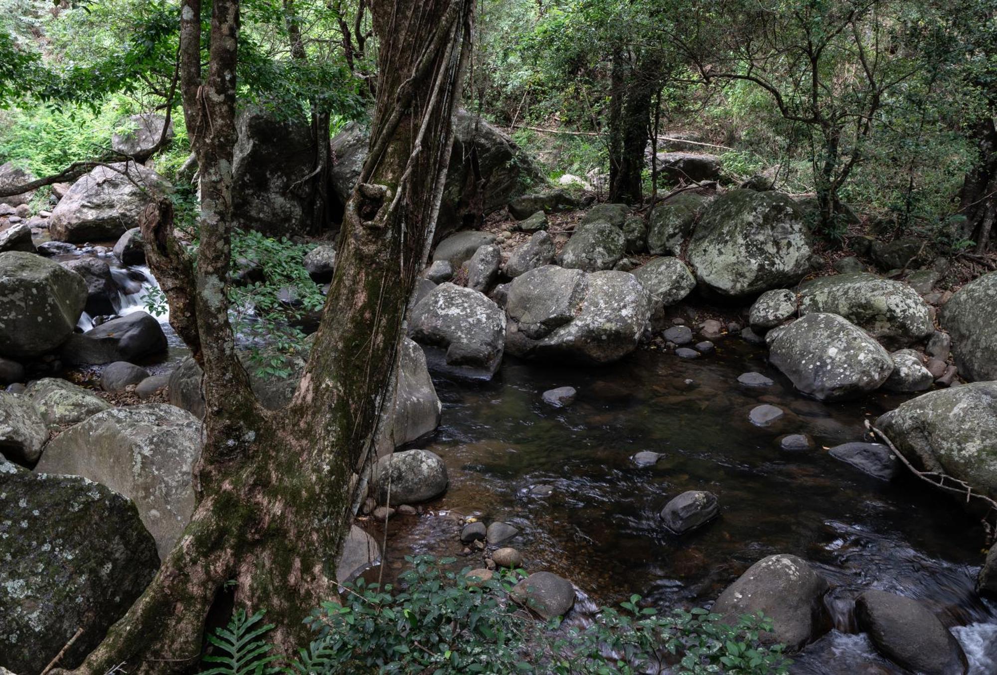 The Glenrock Wellness Nature Resort Belihuloya Ngoại thất bức ảnh
