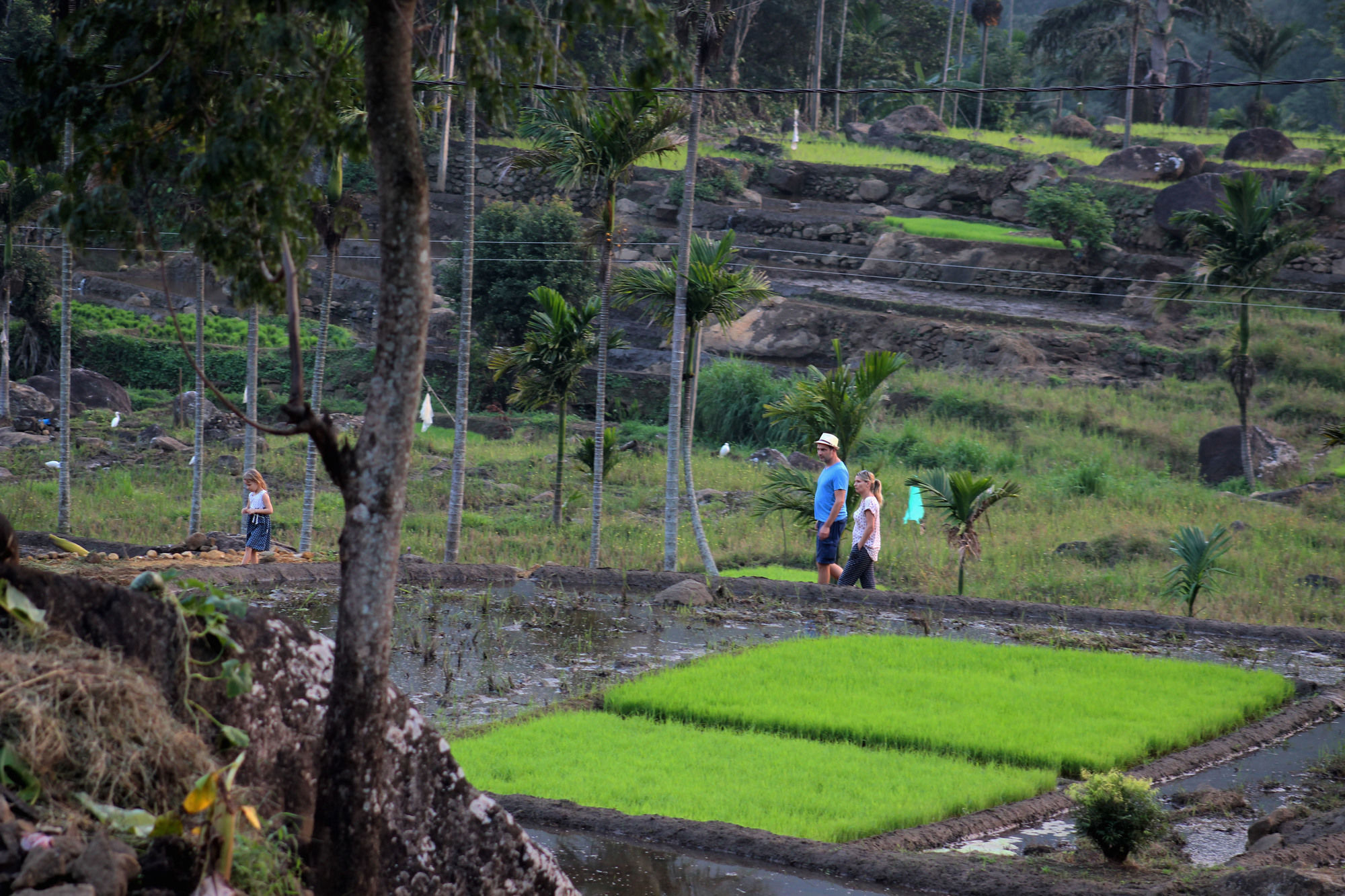 The Glenrock Wellness Nature Resort Belihuloya Ngoại thất bức ảnh
