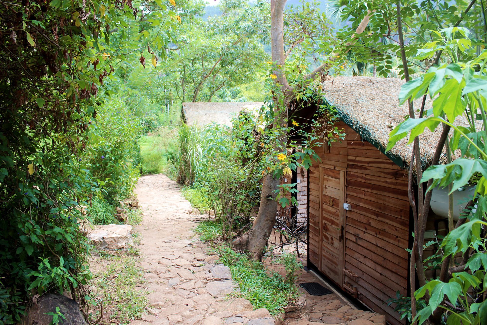 The Glenrock Wellness Nature Resort Belihuloya Ngoại thất bức ảnh
