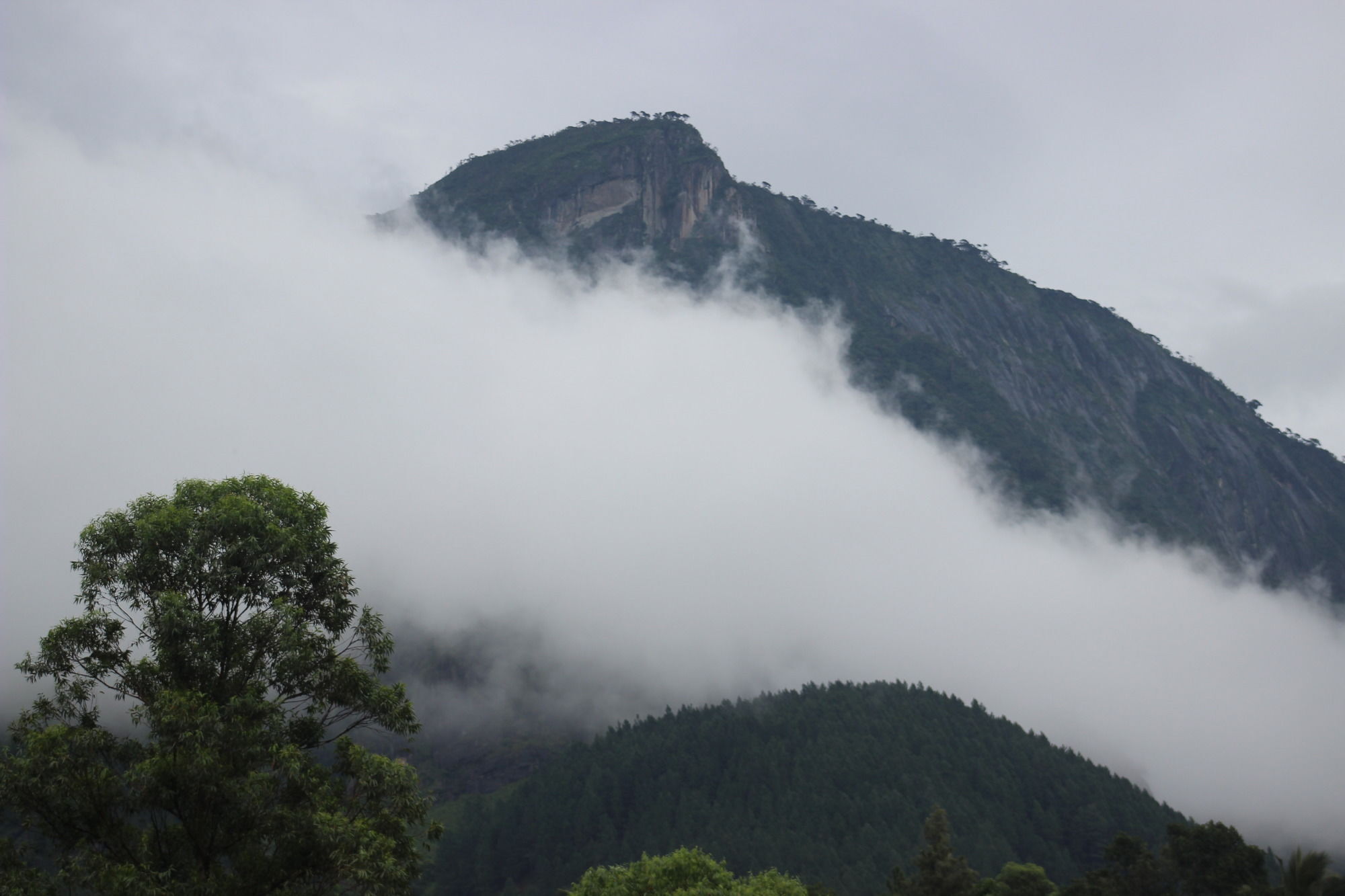 The Glenrock Wellness Nature Resort Belihuloya Ngoại thất bức ảnh